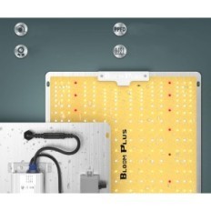 Fitolamppa LED Bloom Plus XP3000, com Diodos Samsung LM301B, 300 W