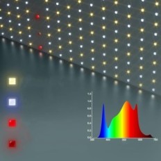 Fitolamppa LED Bloom Plus XP3000 dioodidega Samsung LM301B, 300 W