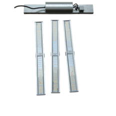 LED lamp Bloom Plus taimede, 3x3 meetrit, 300W, kasutatud