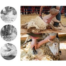 Recherche machine Vintky, 690 W, Noir, Usagé