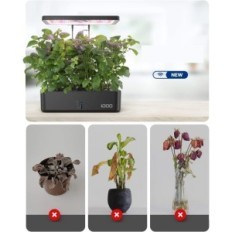 idus Inner Herbal aed LED-valgustus hüdropoonilise süsteemi maitsetaimede ja taimekasvatuse jaoks