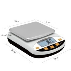 Damaged laboratory balance calibration Bonvoisin