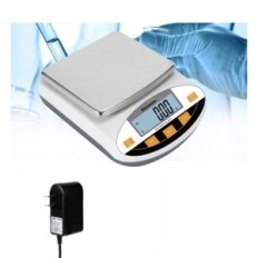 Étalonnage de l'équilibre de laboratoire endommagé Bonvoisin