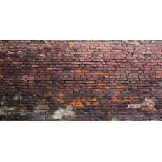 Nuotraukų fonas Yongfoto 6 x 3 m vinilo senosios plytų fonas studijai ir filmams