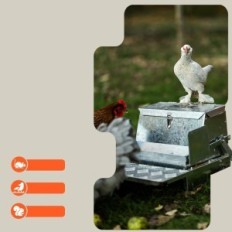 Αυτόματος τροφοδότης Superhandy για Kur, 9 kg, για 6-12 πουλιά, έκθεση