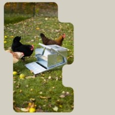 Alimentador automático de Superhandy para KUR, 9 kg, para 6-12 aves, exposición