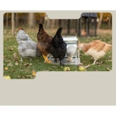 Alimentador automático de Superhandy para KUR, 9 kg, para 6-12 aves, exposición