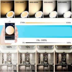 LED reflektorji Geyueya 10 x 5W RGBWC + CCT, WiFi, Bluetooth, Kit (10 svetilk)