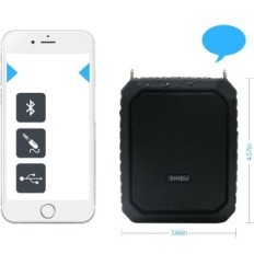 Amplificatore vocale wireless SD-M800 wireless con microfono Bluetooth 18W