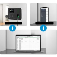 Dispositif endommagé pour le contrôle de présence de NGTECO WIFI jusqu'à 50 utilisateurs