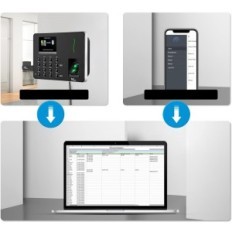 Dispositivo dañado para el control de presencia de NGTECO WiFi hasta 50 usuarios
