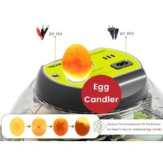 Incubadora automática en 9 huevos de triocotaje de triocotaje