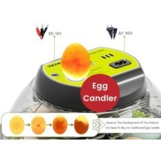 Automatic incubator on 9 eggs Triocottage hatching machine