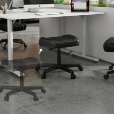 Multifunkční stolička, Eureka Ergonomická hrací stolice