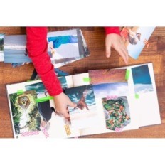 Original Blekk HP C2N92AE 920XL, SVART / CYAN / MAGENTA / GUL, SET 4 PCS