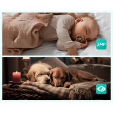 Camera BOTSAB C221 WiFi 3K 5mp 360 °, kustība / troksnis, nakts, Alexa