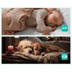 Gebruikte Camera Botslab C221 WiFi 3K 5MP 360 °, beweging / lawaai, nacht, Alexa