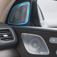 Scudo per altoparlanti da porta a passo con LED, 64 colori, GLS GLS W167 x167 2020+