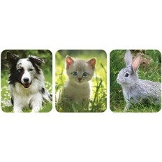 Elektriske pastfaste Ellofence M15 Animal Repeller 230 V