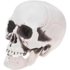 Plastist rippuv skelett. Skeleti kaunistus kodupidu kohta