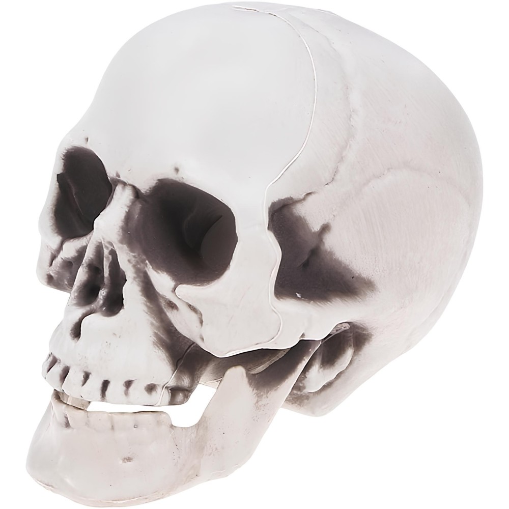 Plastic opknoping skeleton. Skelet-decoratie op een huisfeest