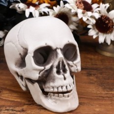 Plastic hanging skeleton. Skeleton decoration on a home party