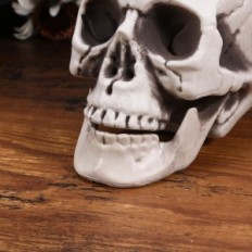 Plastic opknoping skeleton. Skelet-decoratie op een huisfeest