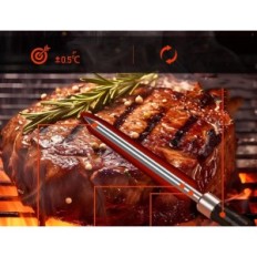 Termometro a base di carne Alfabot K1 wireless, 2 sonde, Bluetooth 150m