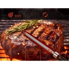 Termometro a base di carne Alfabot K1 wireless, 2 sonde, Bluetooth 150m