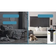 Camera voor Dier Pettec Feeder Automatic Detection of Barking