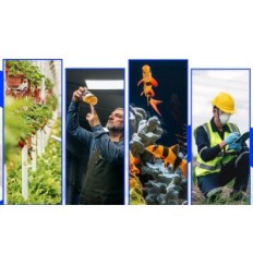 BLUELAB PH BP1-2406-00743 TER BP1-2406-00743 Neperšlampami Dual Jutiklis