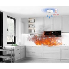 Belaidis Widaustalarm Wireless Alarms Kit1-3S1C1H-R8 DYM / CO