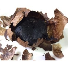 Fermenter pour l'ail noir MLGB AZK115 5L, approuvé FCC UL