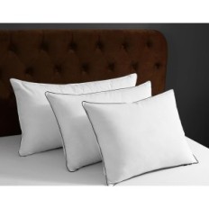 DWR 40X80 Plesnice (2 kos