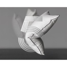 Dwr 40x80 ner kuddar (2 st.) 3 Fluffkammare och drycker Bomull Eko