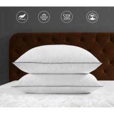 DWR 40x80 almohadas hacia abajo (2 unidades). 3 cámaras de pelusa y bebidas Algodón Eko