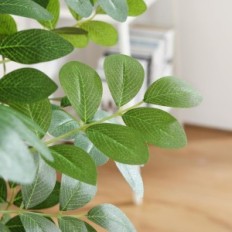 Artificiale Moringa Tree Caseila 120 cm Plant in una pentola per la decorazione d'interni