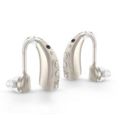 Hibriq 1710D-G gehoorapparaat met 4 EQ, silencing en geluidsaanpassing