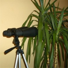 Sakura Binoculaires 20-180x100 Zoom HD Télescope Bak4 imperméable avec un étui