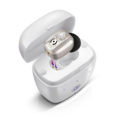 Hoortoestel met de vermindering van Britzo BHA-602-lawaai geladen pouch tot 20.00 uur (zilver)