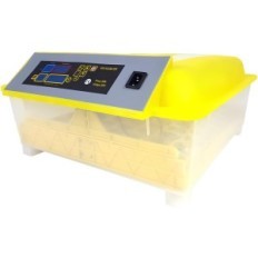 Incubator 48 Digitale pc's met temperatuur- en ventilatieregeling