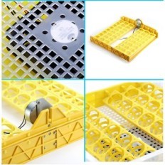 Egginkubator 48 Digitale PCer med temperatur og ventilasjonsregulering