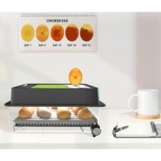 Begagnade inkubator för ägg Okköbi Obi-36 36 st med display och oro