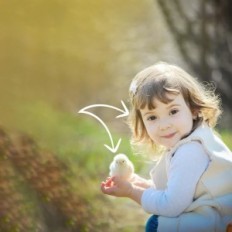 Incubateur utilisé pour les œufs Okköbi obi-36 36 PCS avec écran et trouble