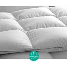 Down Quilt Apsmile 240x260 todo o ano com ganso fluff e pena