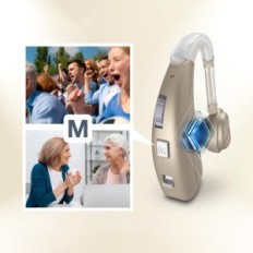 Incomplete Delmicure 1303DG Hearing Aid for Adults with 2 modes