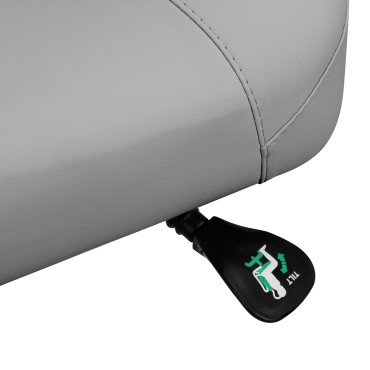 Sgabello podologico Giovanni 1005 grigio con schienale ergonomico e altezza regolabile — primo piano dei comandi