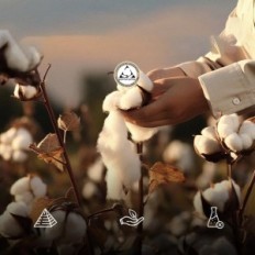 Summer Quilt Apsmile 240x260cm Puch Gese Egiptuse puuvill 2 inimesele