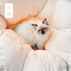 Καλοκαιρινό πάπλωμα Apsmile 240x260cm Puch χήνες αιγυπτιακό βαμβάκι για 2 άτομα