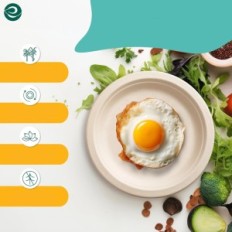 Talerzyki papierowe ECO SOUL 15cm biodegradowalne 1000 szt.